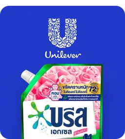 TopBrands: Unilever Home Care