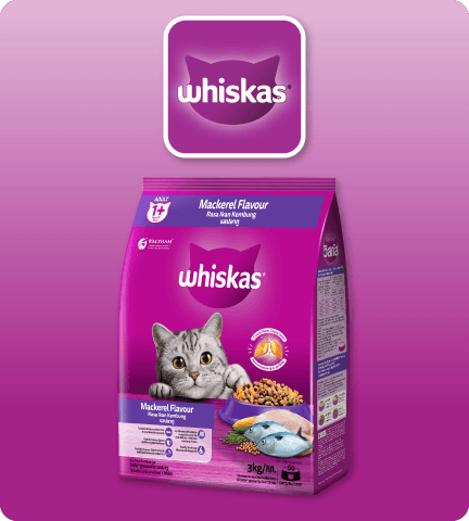 Makro whiskas hotsell