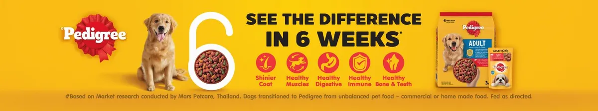 Pedigree and Whiskas | Pedigree