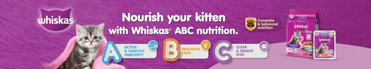 Pedigree and Whiskas | Whiskas