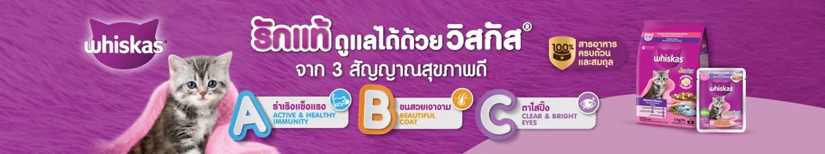 Pedigree and Whiskas | Whiskas