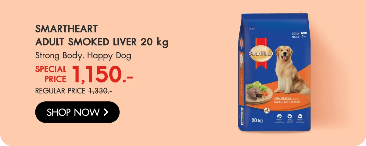 Brand Depot Stack Image | Pet Supplies - SmartHeart