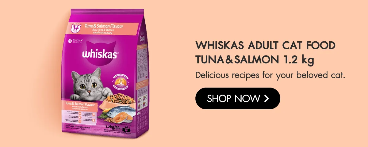 Brand Depot Stack Image | Pet Supplies - Whiskas