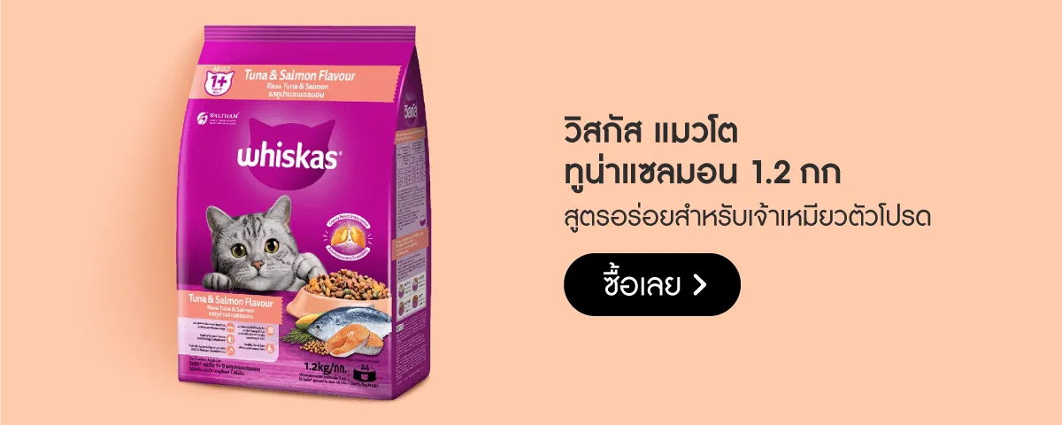 Brand Depot Stack Image | Pet Supplies - Whiskas