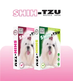 Double A : Shih-tzu