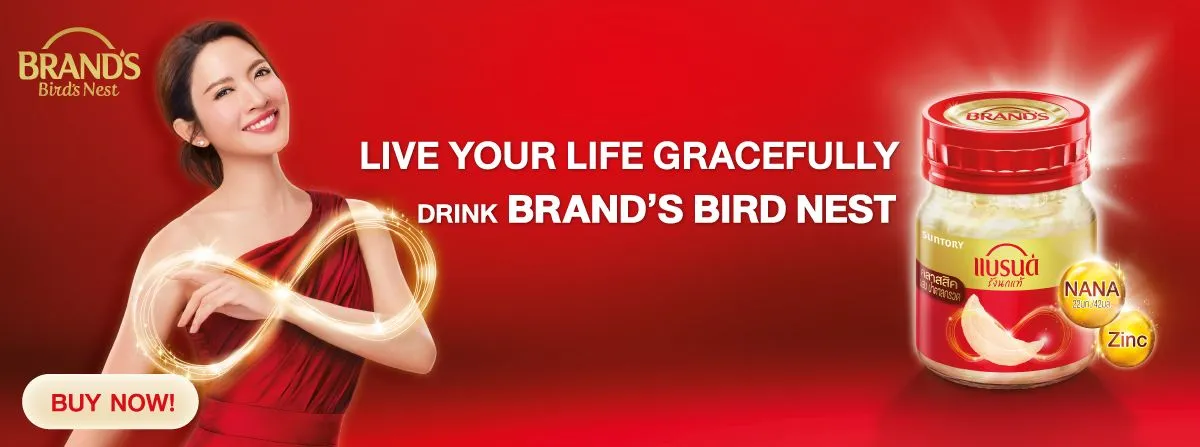 Brand's | Bird's Nest -Stack