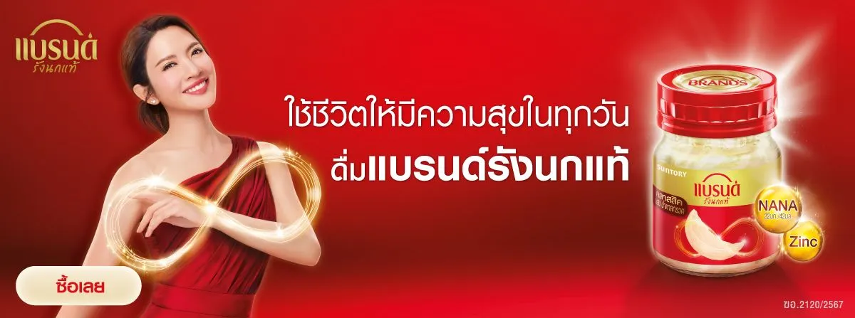 Brand's | Bird's Nest -Stack