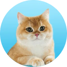 SmartHeart & Me-O Official : Cat Food