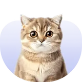 อุปกรณ์สำหรับแมว