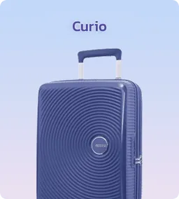 American Tourister - Curio