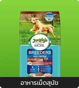 Jerhigh and Jinny : Dog Dry food