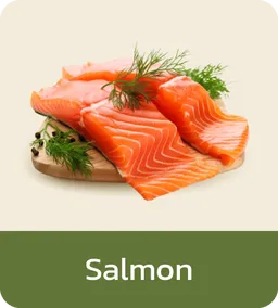 Fresh icon | Salmon