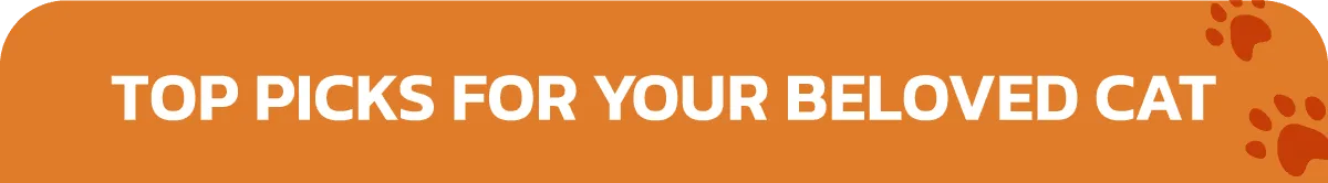 Kaniva Official Store | Stack Header