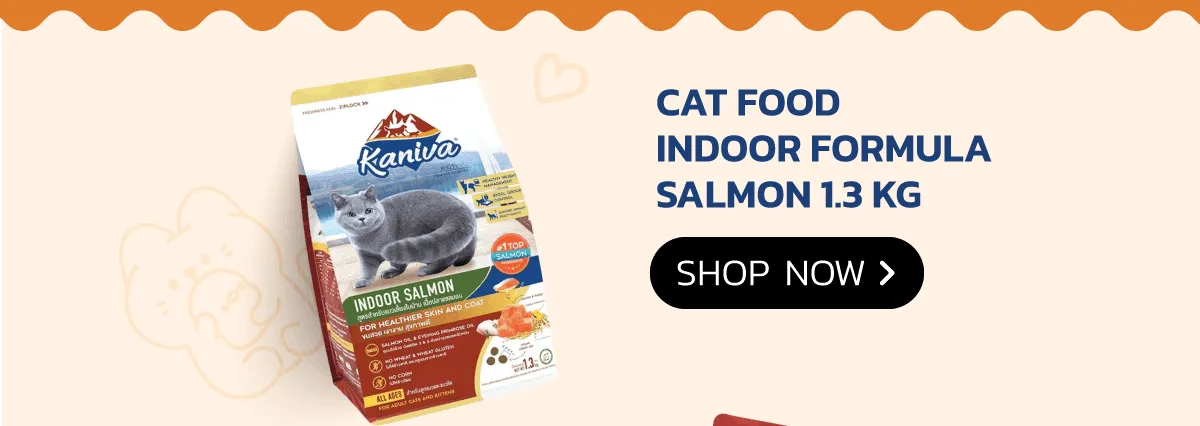 Kaniva Official Store | KANIVA Cat Food Indoor Formula Salmon