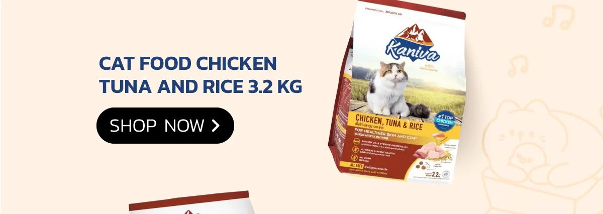 Kaniva Official Store | KANIVA Cat Food Chicken Tuna and Rice
