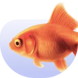 อุปกรณ์สำหรับปลา