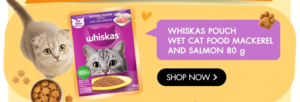 Pet Destination | Stack - Whiskas