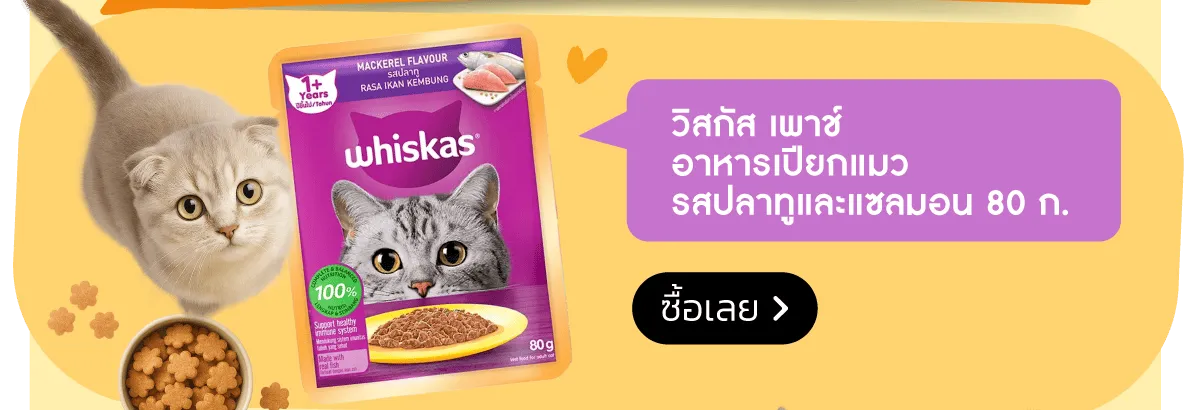 Pet Destination | Stack - Whiskas