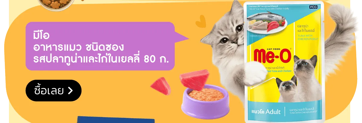 Pet Destination | Stack - Me-O