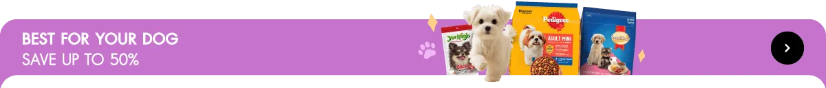 Pet Destination | Best for Your Dog