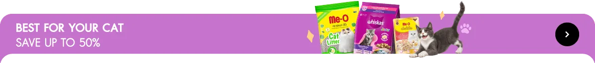 Pet Destination | Best for Your Cat