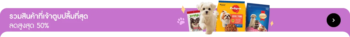 Pet Destination | Best for Your Dog