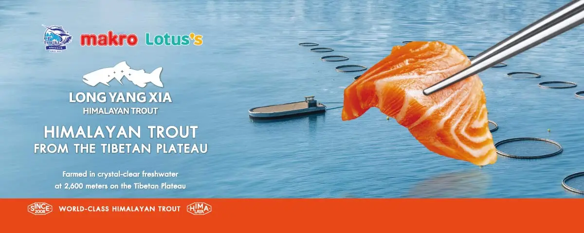 Salmon page | Top Banner