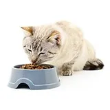 อาหารสำหรับแมว