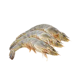 ปลาและอาหารทะเล