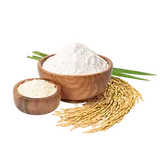 แป้ง ข้าว และเส้น