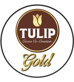 Sino Family | TULIP Gold