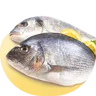 Makro PRO | Makro PRO