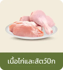 Fresh icon | Chicken