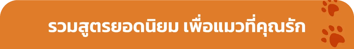 Kaniva Official Store | Stack Header