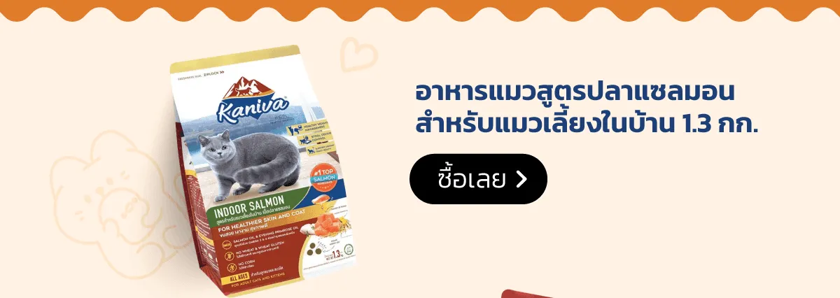 Kaniva Official Store | KANIVA Cat Food Indoor Formula Salmon
