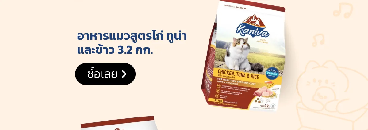 Kaniva Official Store | KANIVA Cat Food Chicken Tuna and Rice