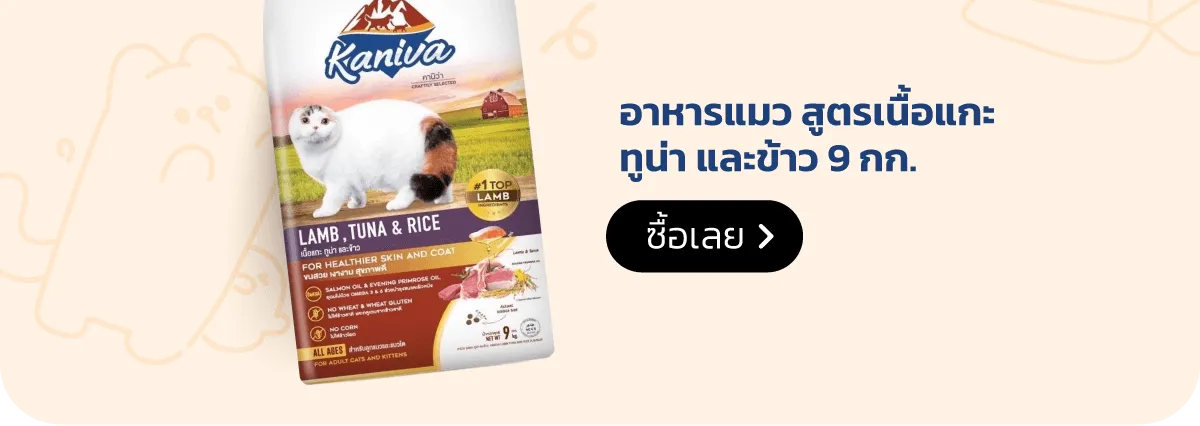 Kaniva Official Store | KANIVA Cat Food Lamb Tuna and Rice
