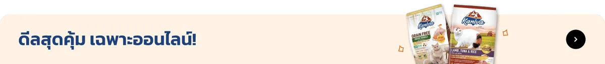 Kaniva Official Store | Online Exclusive