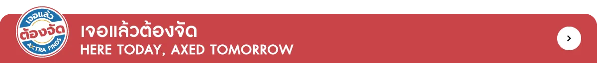 Axtra Finds | Kitchen and Dining